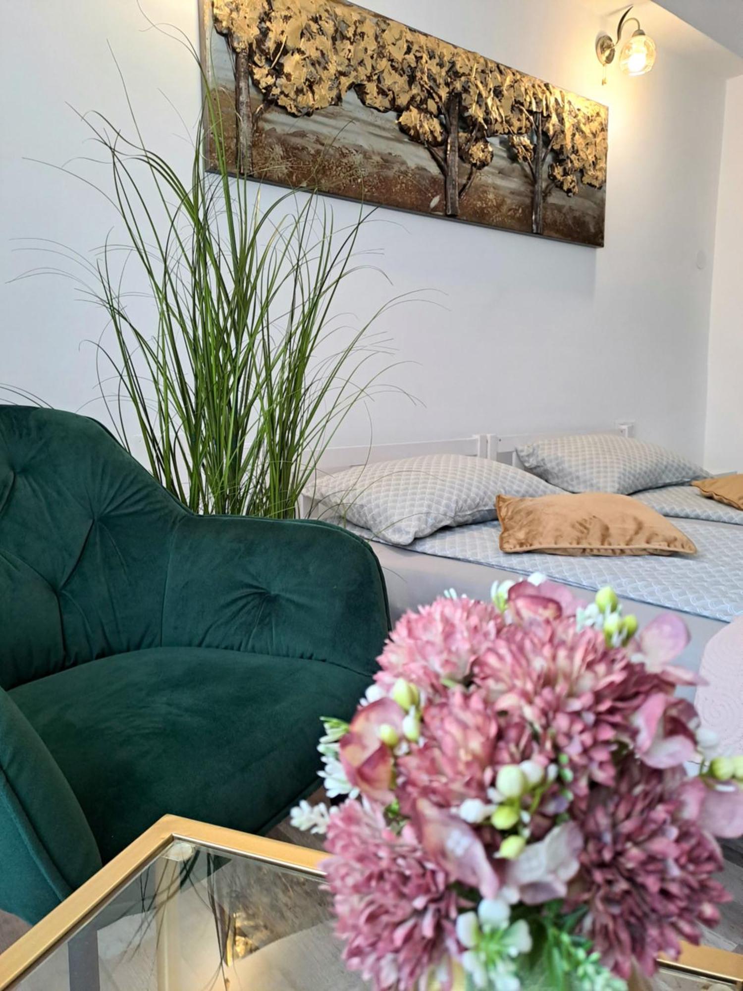 מיירקורה-צ'וק 7 Level Central Apartments מראה חיצוני תמונה